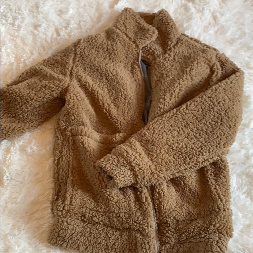 Teddy bear jacket